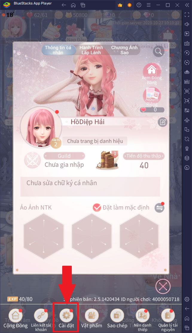 nikki-3.jpg