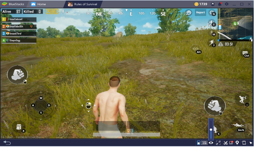 overlay.PNG