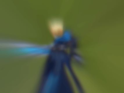 Mouse_Mode.gif