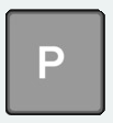 P.png