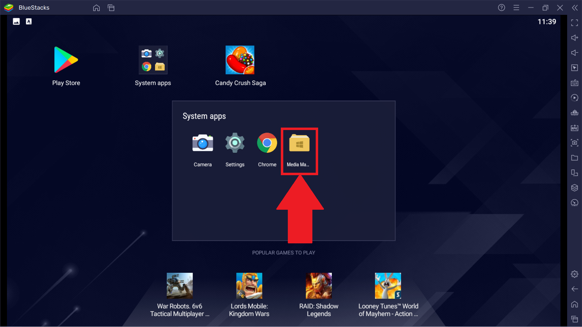 root file manager bluestacks