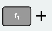 f1 +.png